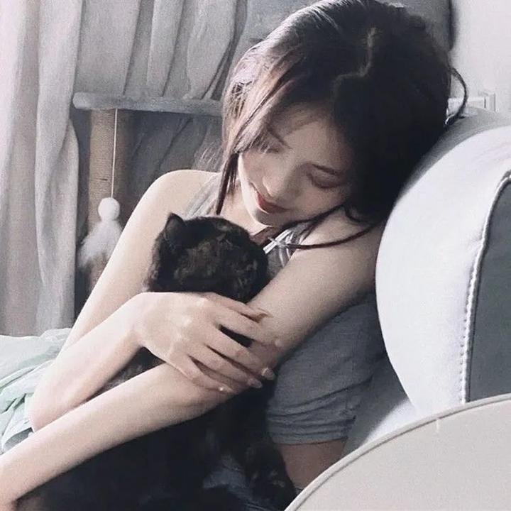 纵他入局 在线观看封面